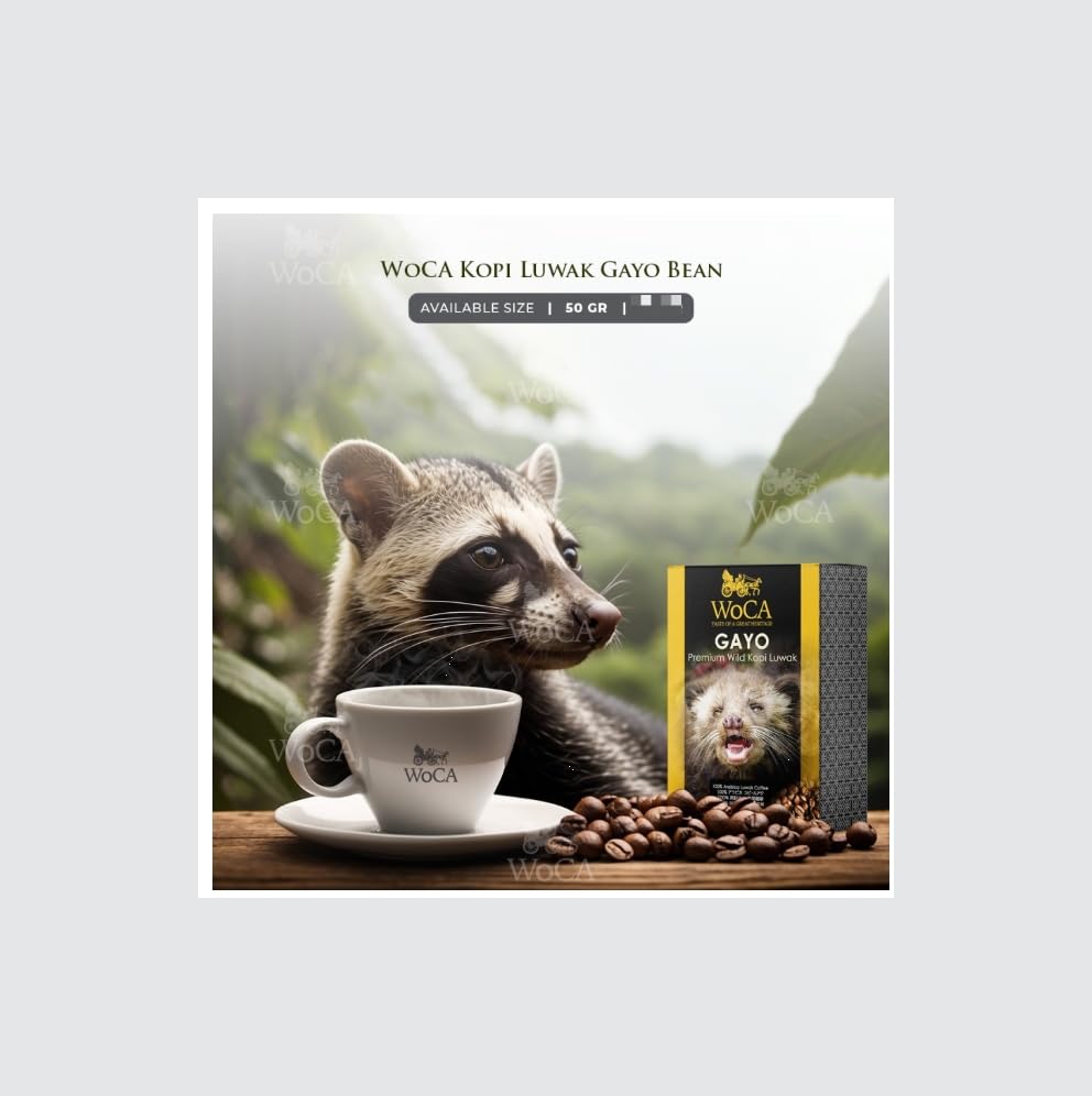 Amazon.com: WoCA Gayo 優質野生Kopi Luwak 咖啡,50 克粉末,100% 阿拉